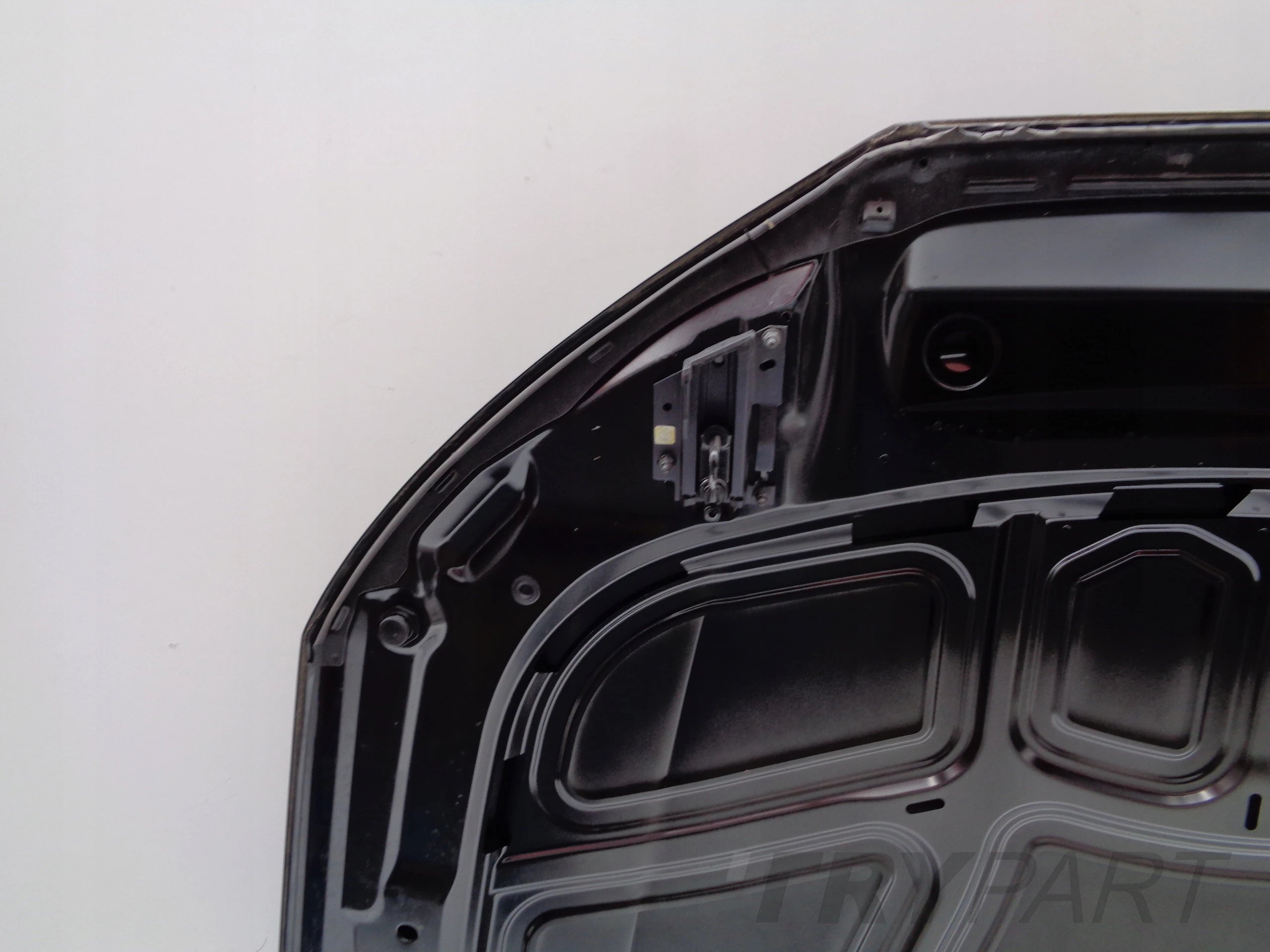 AUDI A4 B9 8W 8W0 15- Engine Hood Bonnet No. 47600 + Locks