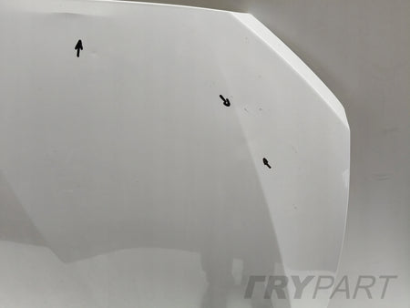 BMW 1 F20 F21 2 F22 F23 ENGINE HOOD COVER NO. 49898