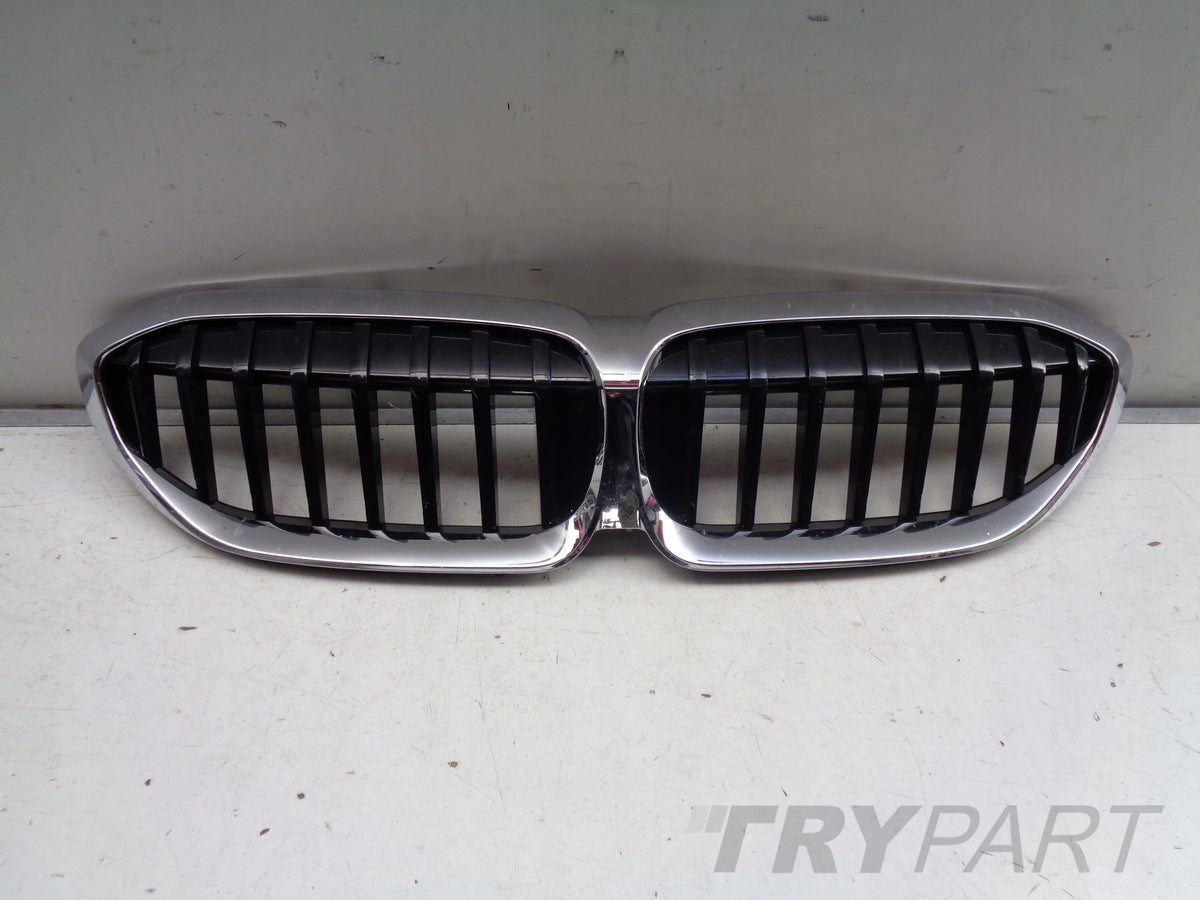 BMW 3 G20 G21 18- Grille Cover