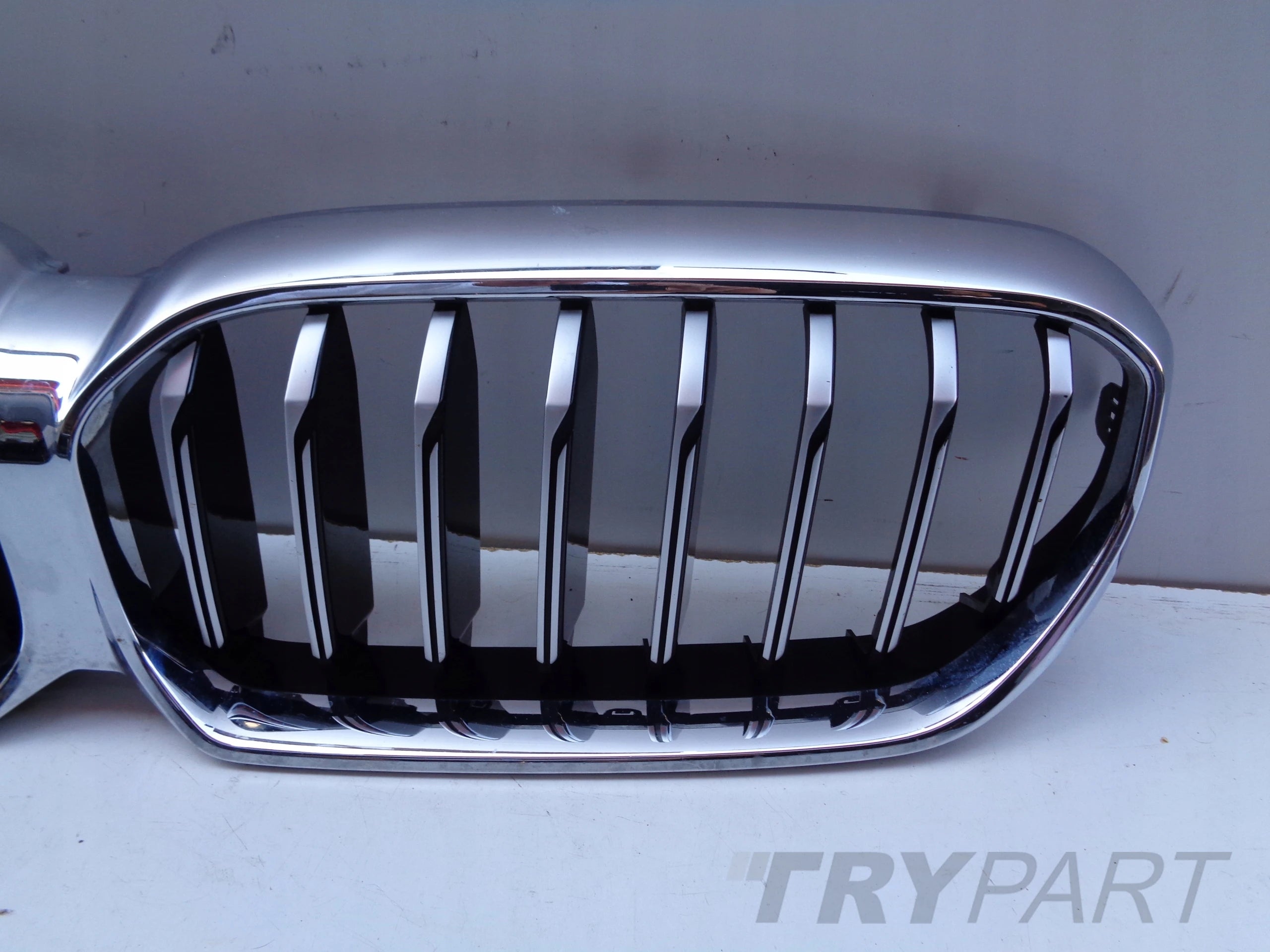 BMW 5 G30 G31 LIFT Grille Cover