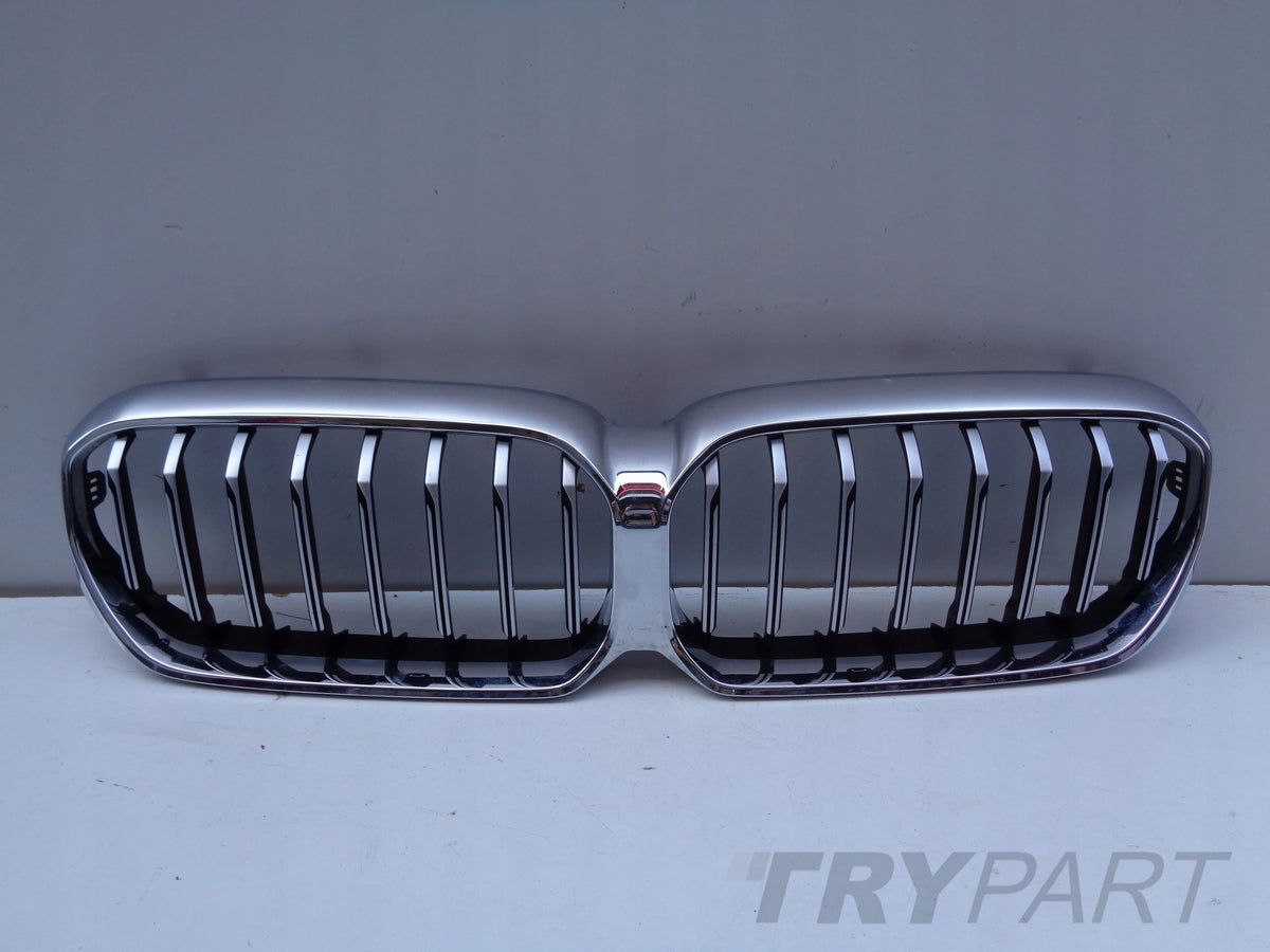BMW 5 G30 G31 LIFT Grille Cover