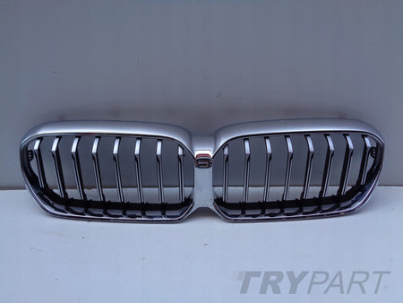 BMW 5 G30 G31 LIFT Grille Cover