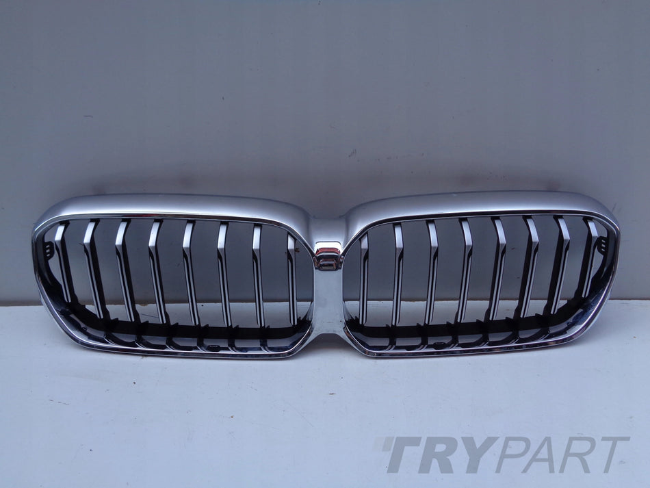 BMW 5 G30 G31 LIFT Grille Cover