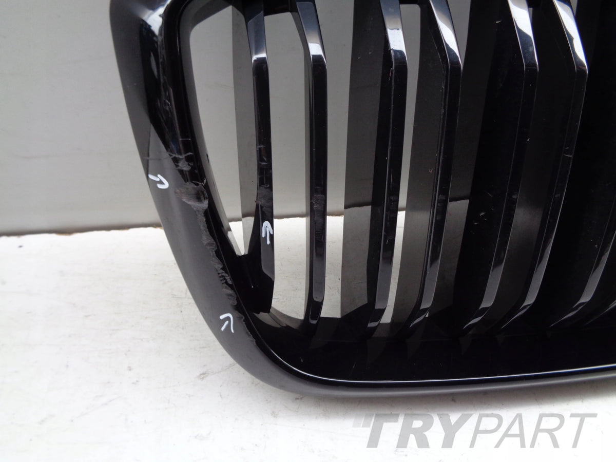 BMW X3M G01 X4M G02 LIFT Grill Grille