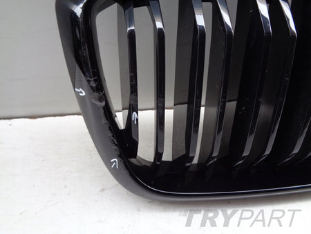 BMW X3M G01 X4M G02 LIFT Grill Grille