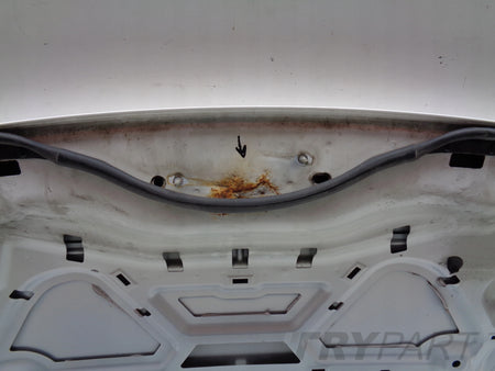 ENGINE HOOD FORD EDGE 16- NO. 42800