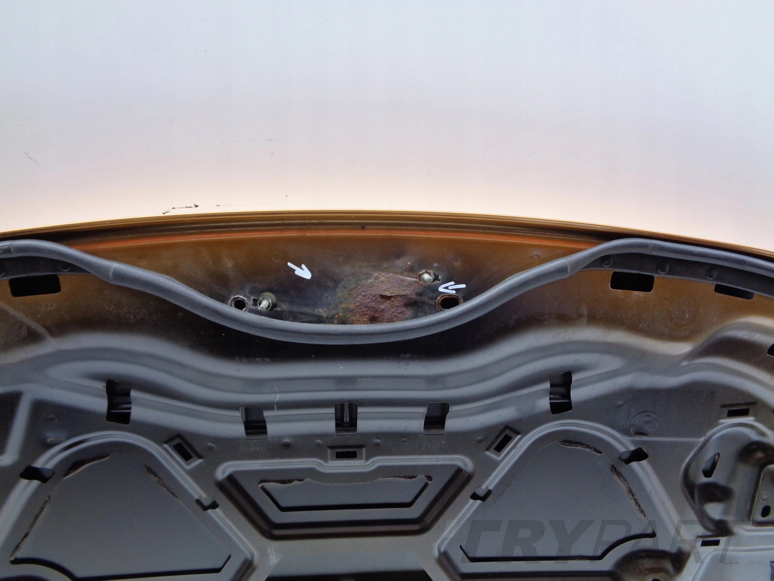 FORD EDGE 16- HOOD ENGINE COVER NR 46912