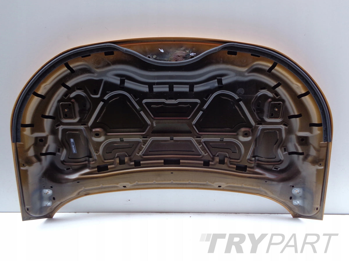 FORD EDGE 16- HOOD ENGINE COVER NR 46912
