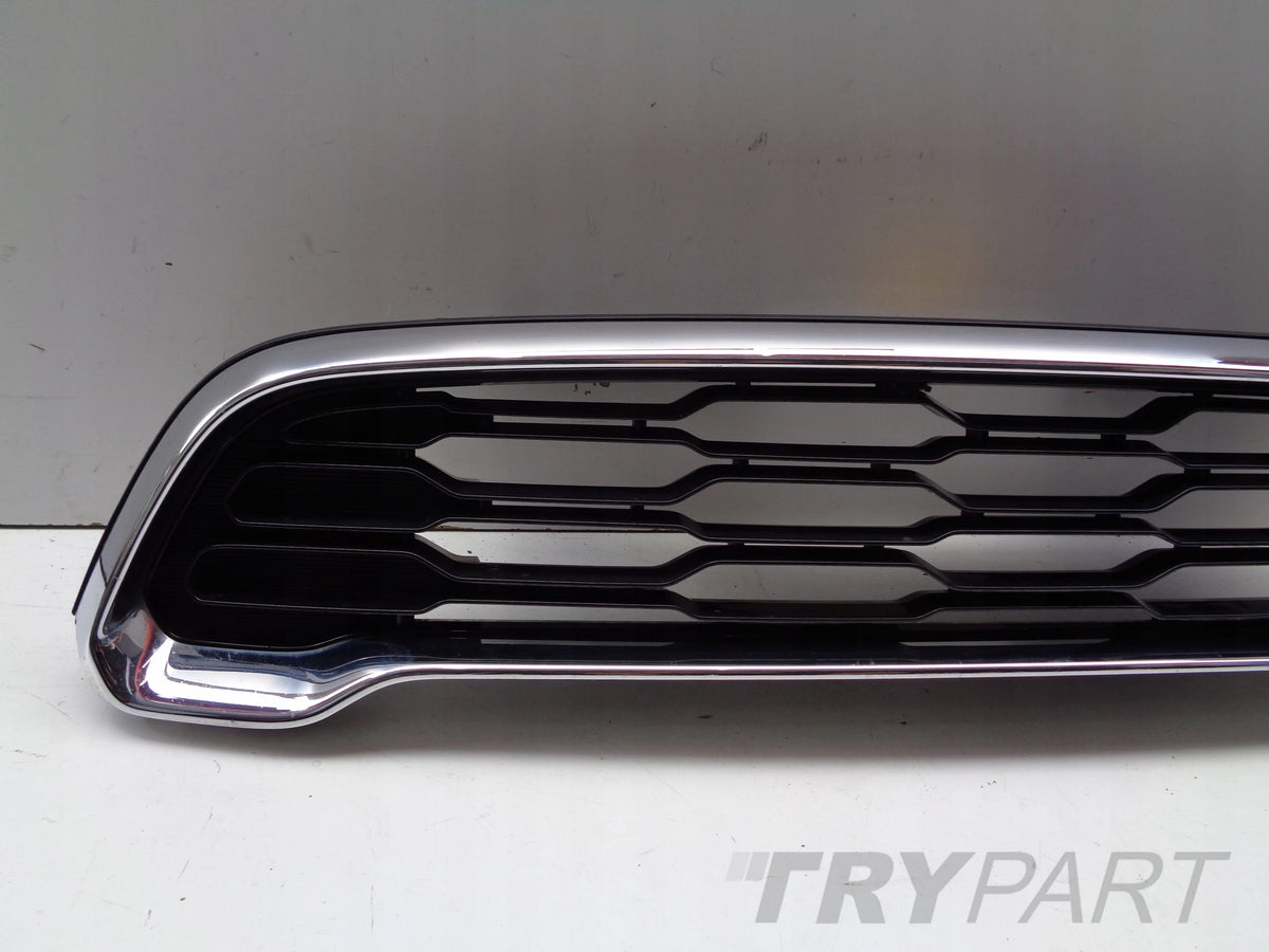 Grill Grille MINI COUNTRYMAN S R60 10-