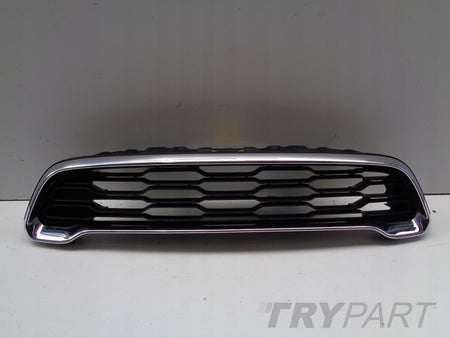 Grill Grille MINI COUNTRYMAN S R60 10-