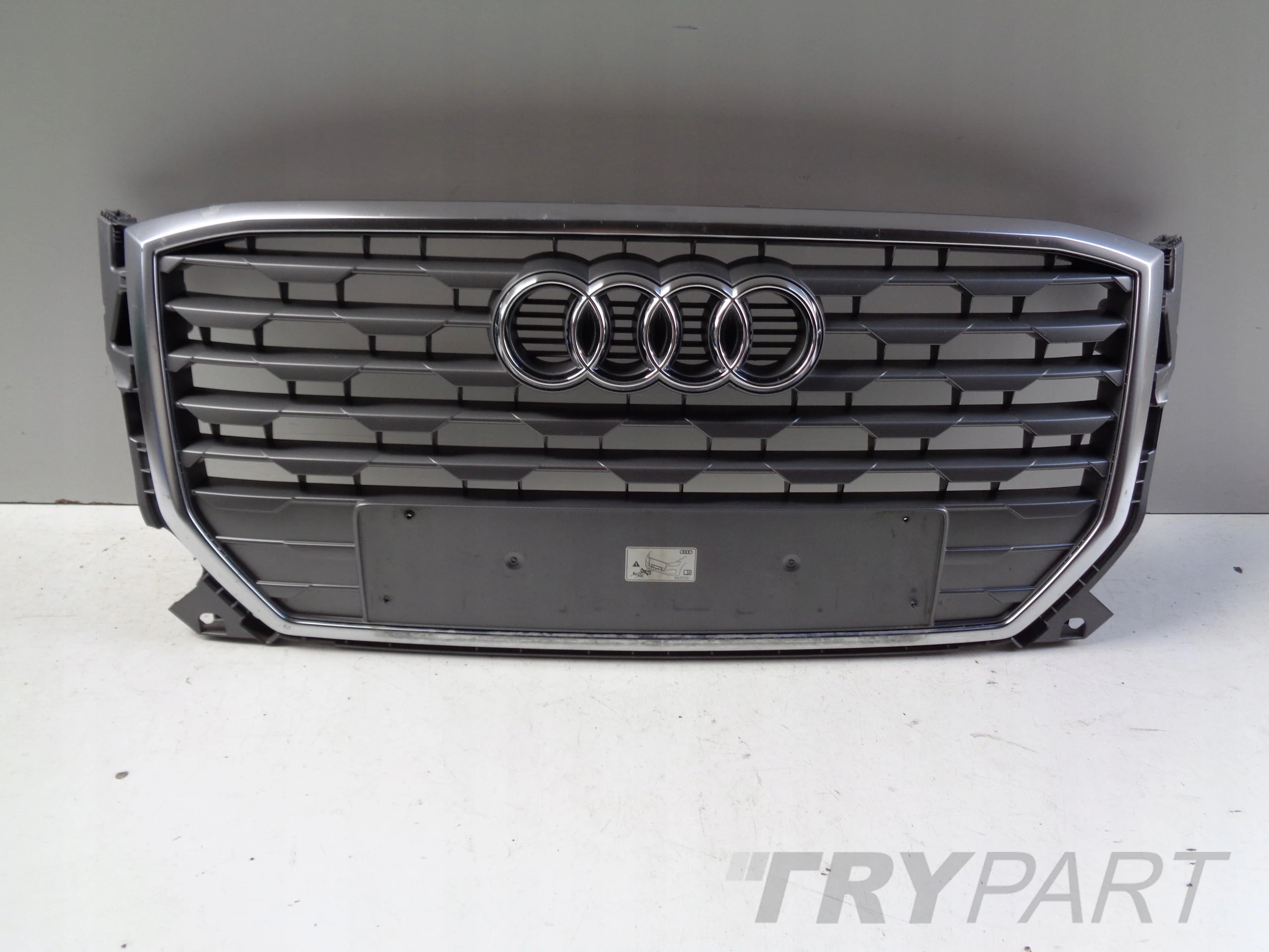 Grille Assembly AUDI Q2 81A 16-