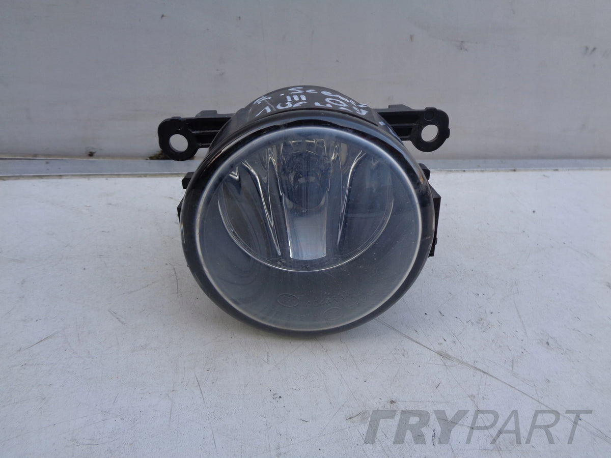HALOGEN RENAULT SCENIC III 09- 8200074008