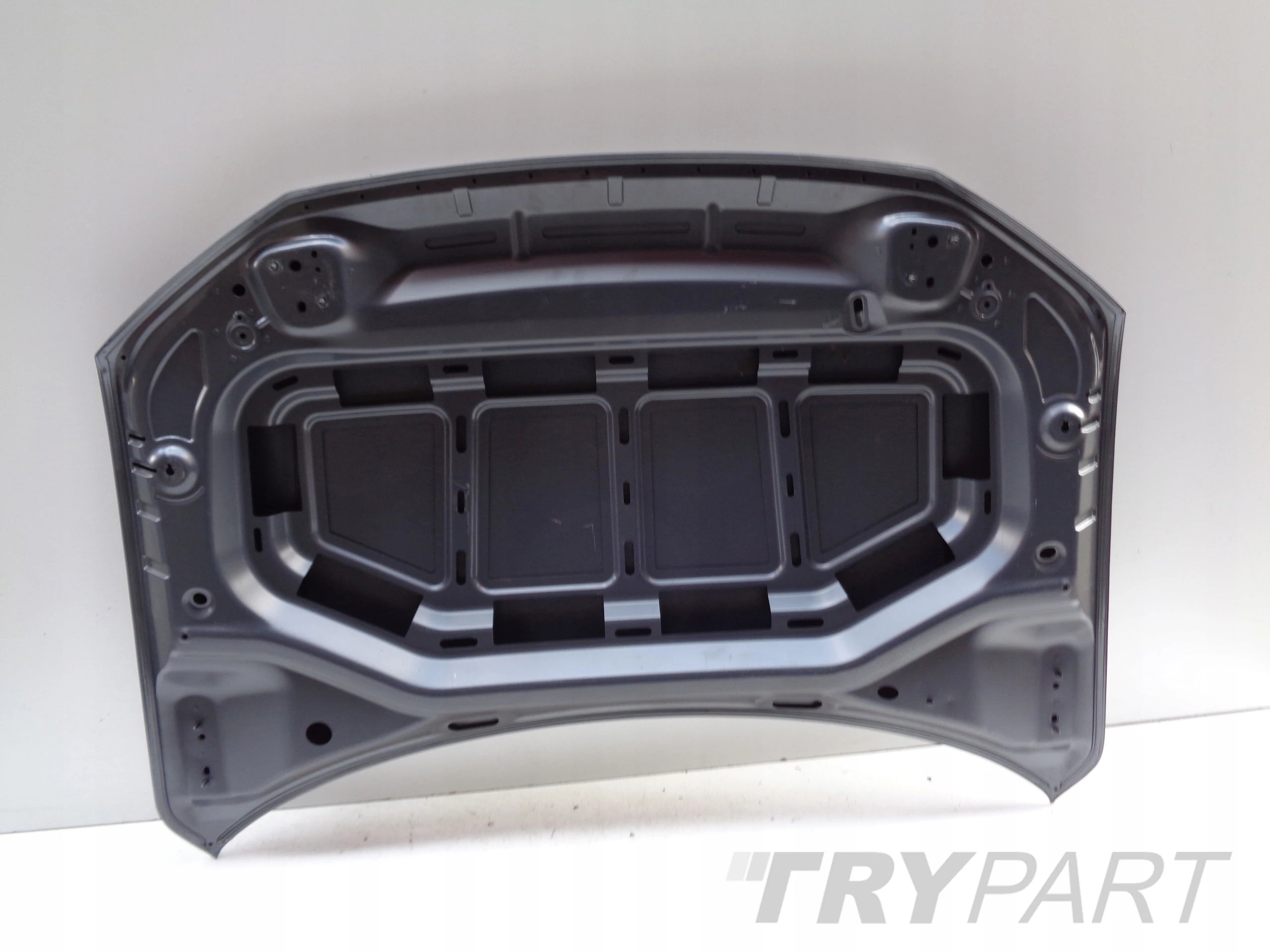 Hood Engine Cover VW T-ROC 2GA 17- NR 51633