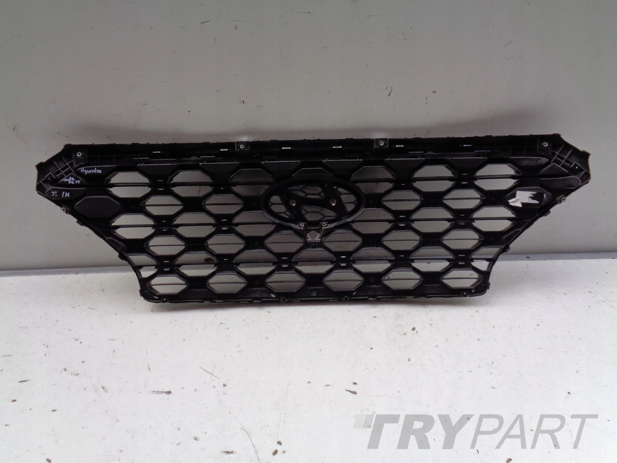 HYUNDAI SANTA FE IV 18- Grille Cover
