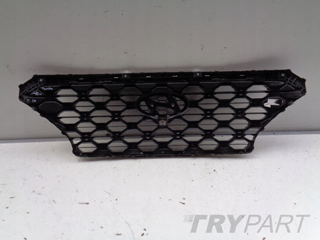 HYUNDAI SANTA FE IV 18- Grille Cover