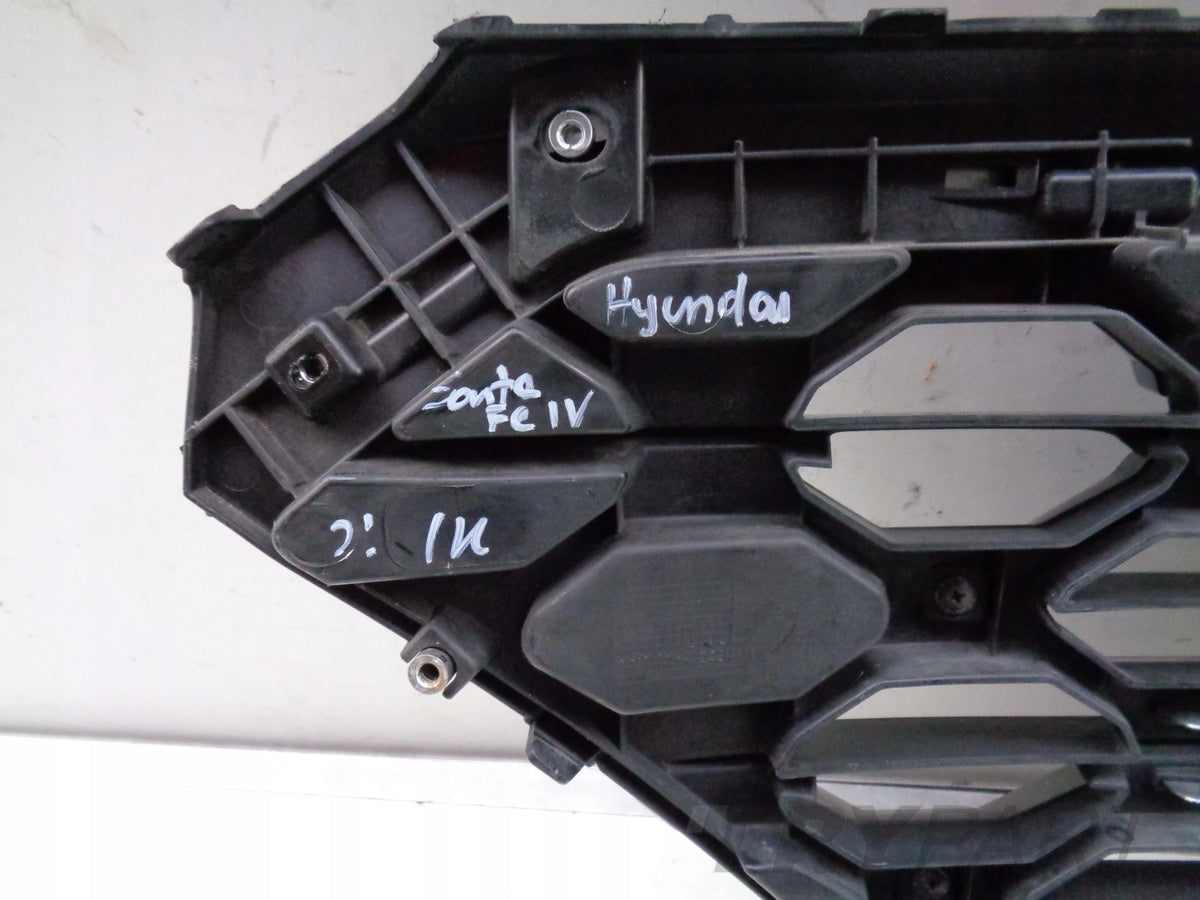 HYUNDAI SANTA FE IV 18- Grille Cover