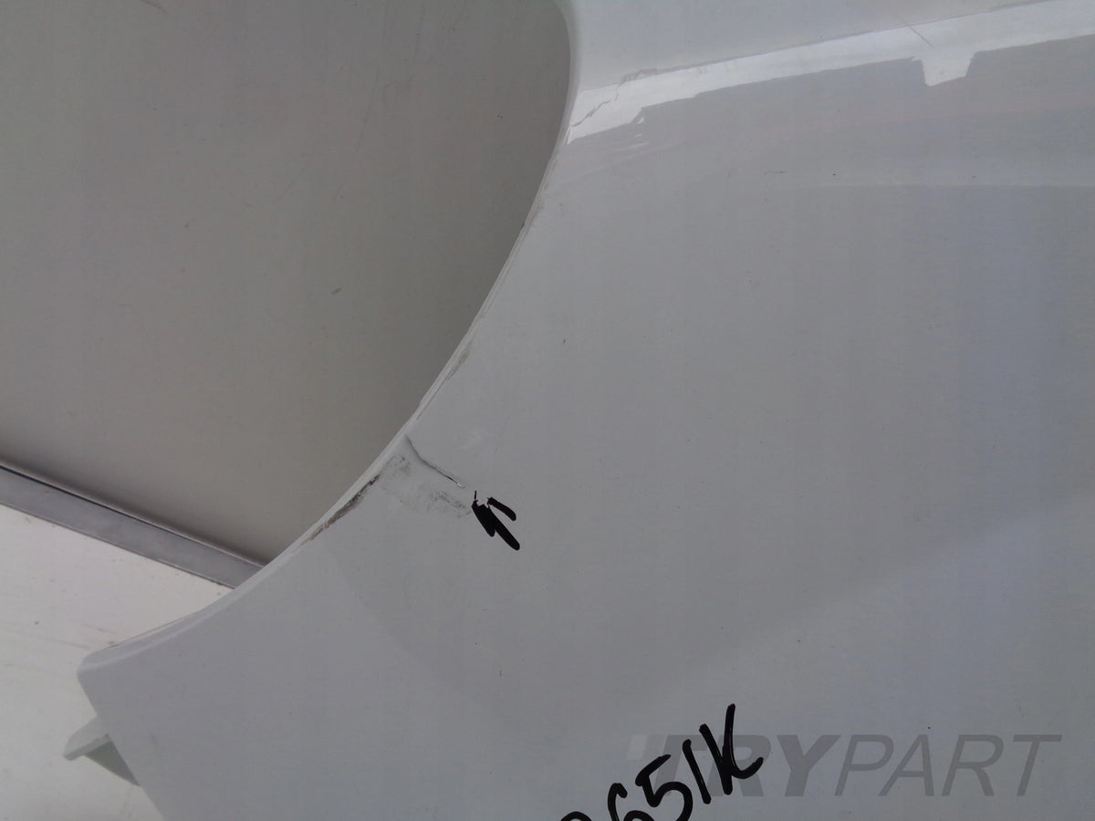 LEFT FRONT FENDER RENAULT KANGOO 08-13 NO. 19365