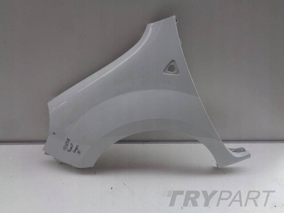 LEFT FRONT FENDER RENAULT KANGOO 08-13 NO. 19365