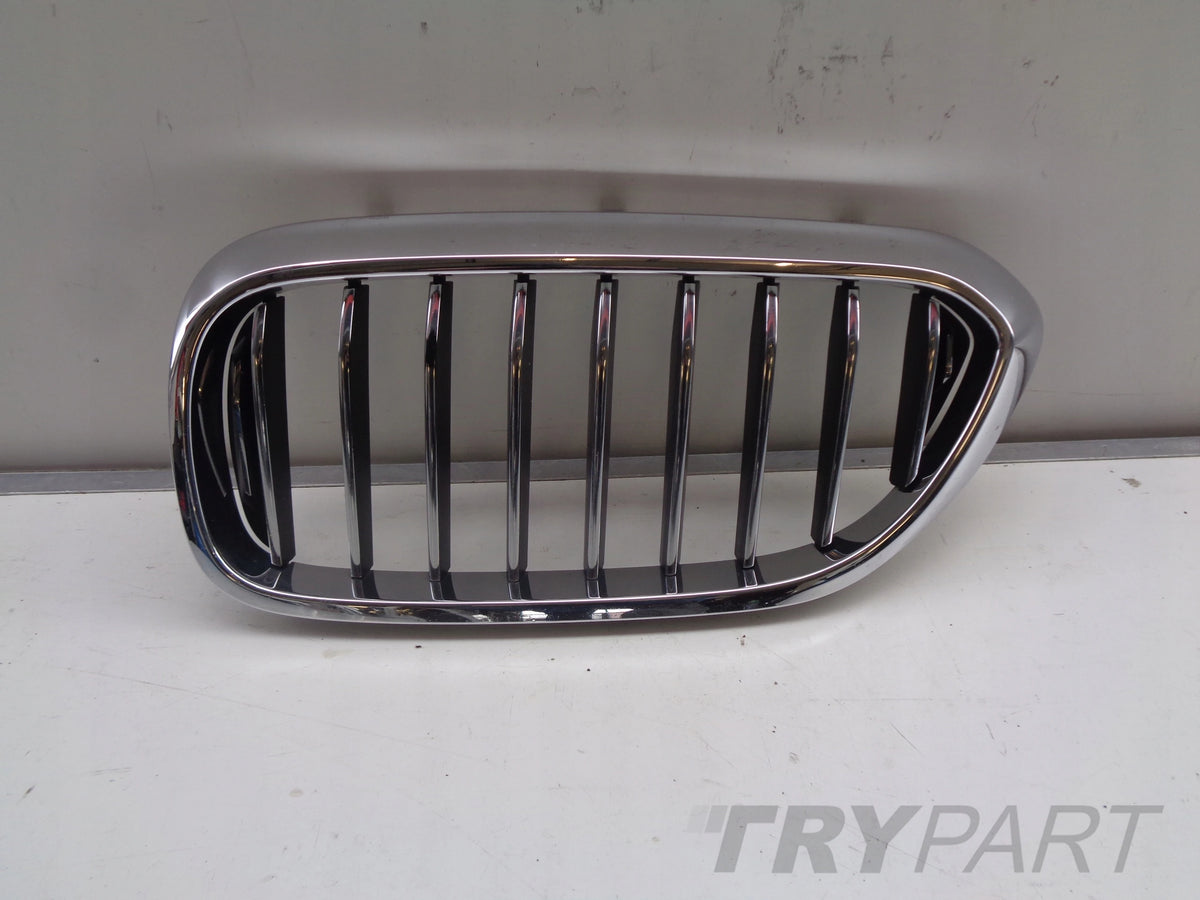 Left Kidney Grille for BMW 5 G30 G31 17-