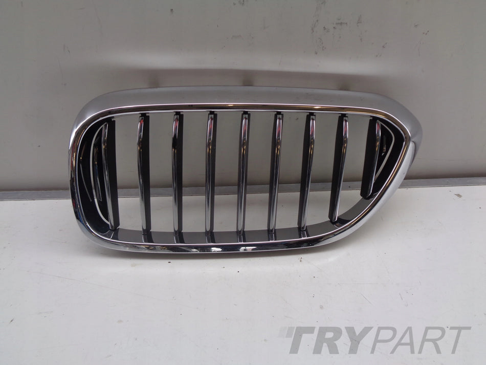 Left Kidney Grille for BMW 5 G30 G31 17-