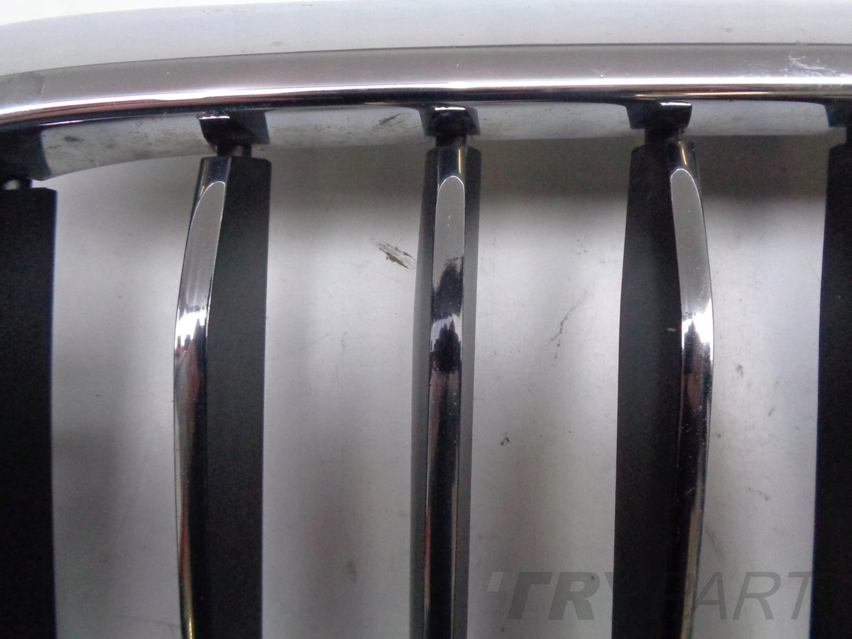 Left Kidney Grille for BMW 5 G30 G31 17-