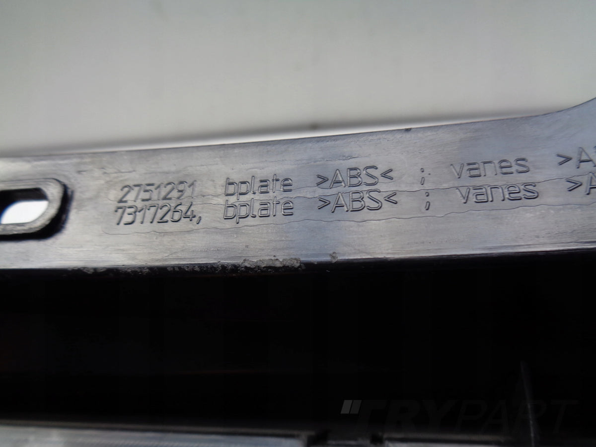MINI COOPER ONE R56 06- Grille Panel