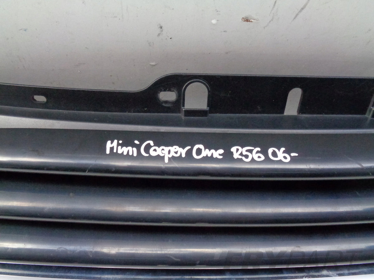 MINI COOPER ONE R56 06- Grille Panel