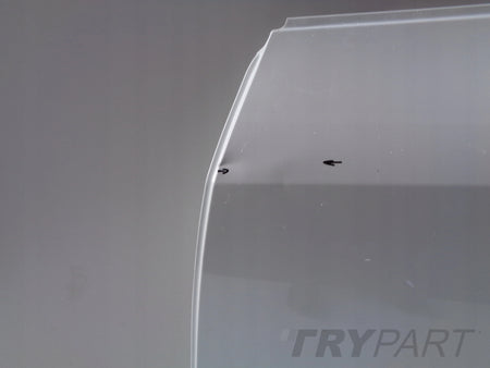 REAR LEFT DOOR TESLA MODEL Y NO. 50717
