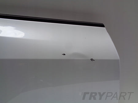 REAR RIGHT DOOR TESLA MODEL Y NO. 46447