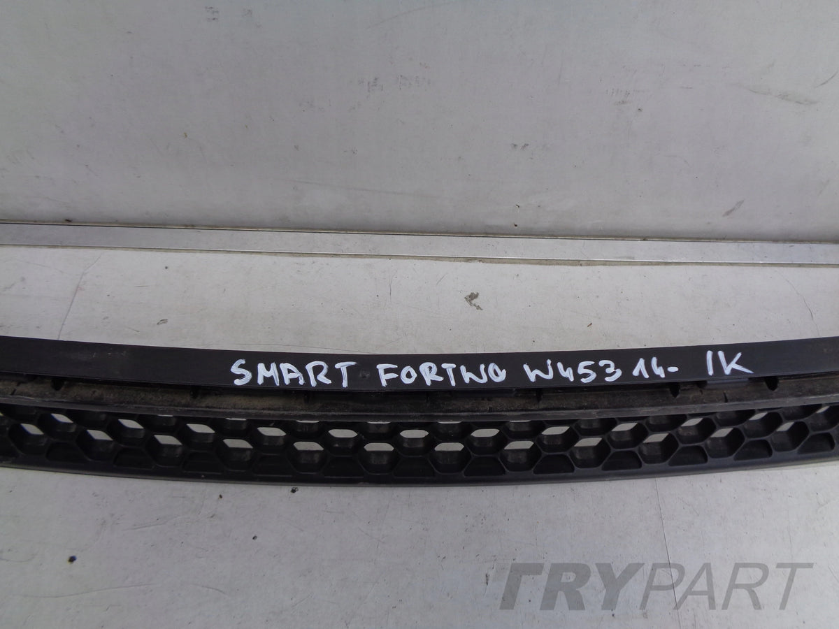 SMART FORTWO W453 14- BUMPER GRILLE