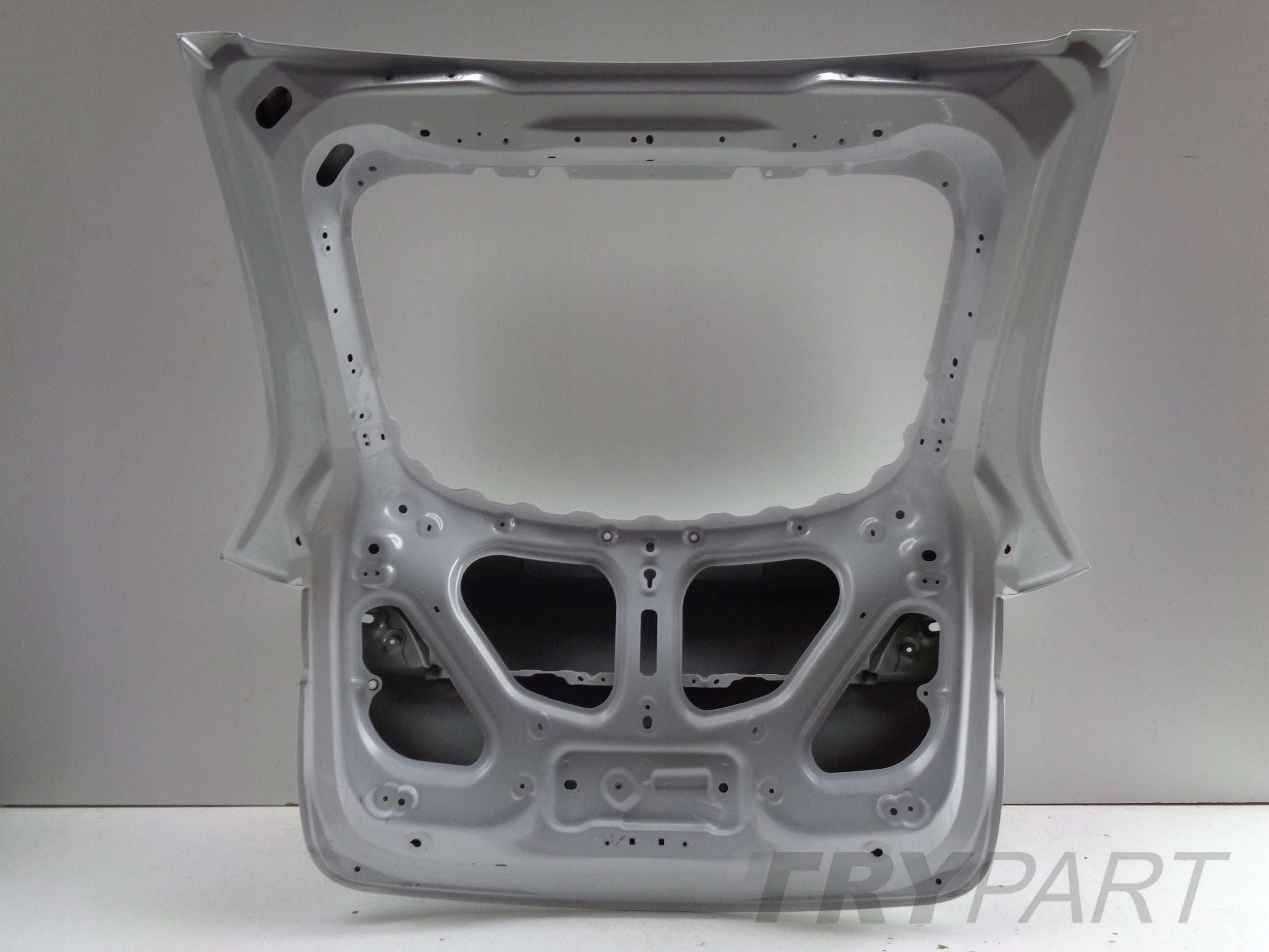TESLA MODEL Y TAILGATE NO. 51099
