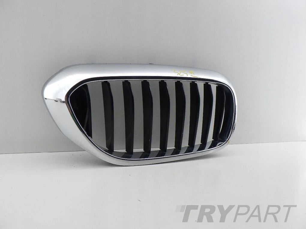 BMW 5 G30 G31 Right Kidney Grille