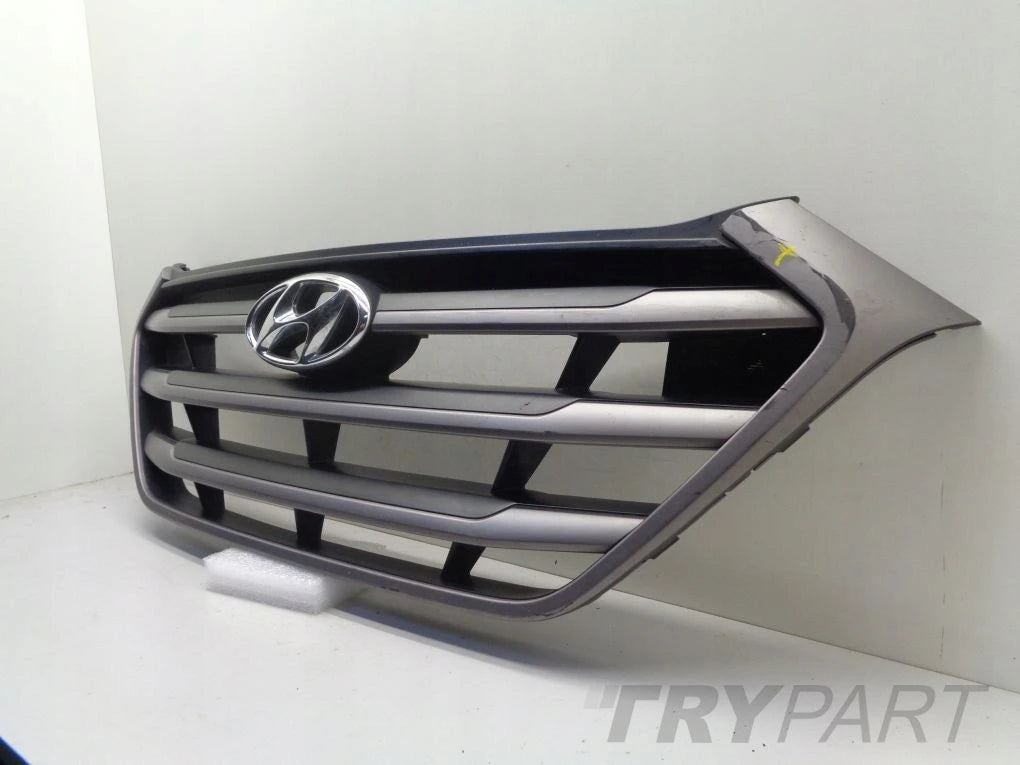 HYUNDAI TUCSON 3 III 15- grill catcher