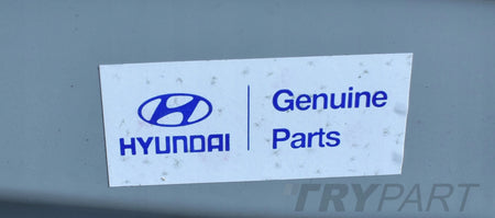 HYUNDAI SANTAMO Left Rear Door New Original