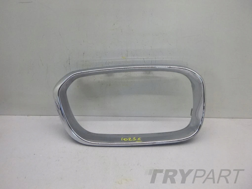 BMW 1 F20 Grille Kidney