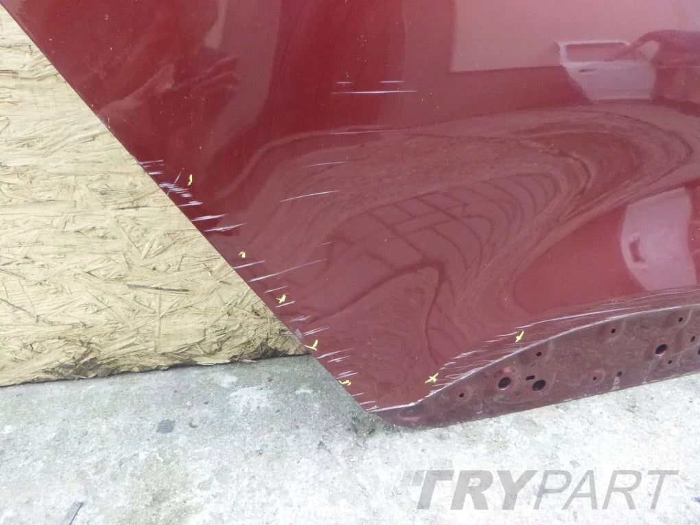 RENAULT SCENIC IV 16- Rear Right Door
