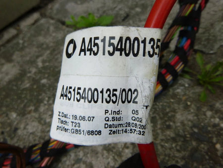 SMART FORTWO 451 Main Wiring Harness