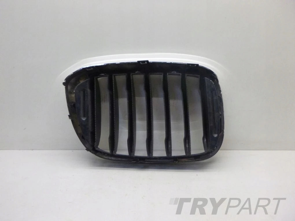 BMW X3 G01 X4 G02 left kidney grille