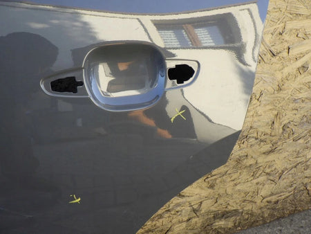 PEUGEOT 2008 II 2 2019- Rear Left Door