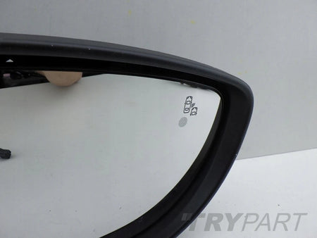 NISSAN LEAF ZE1 II 2 CAMERA ASSISTANT 14 PIN 8+6 LEFT MIRROR