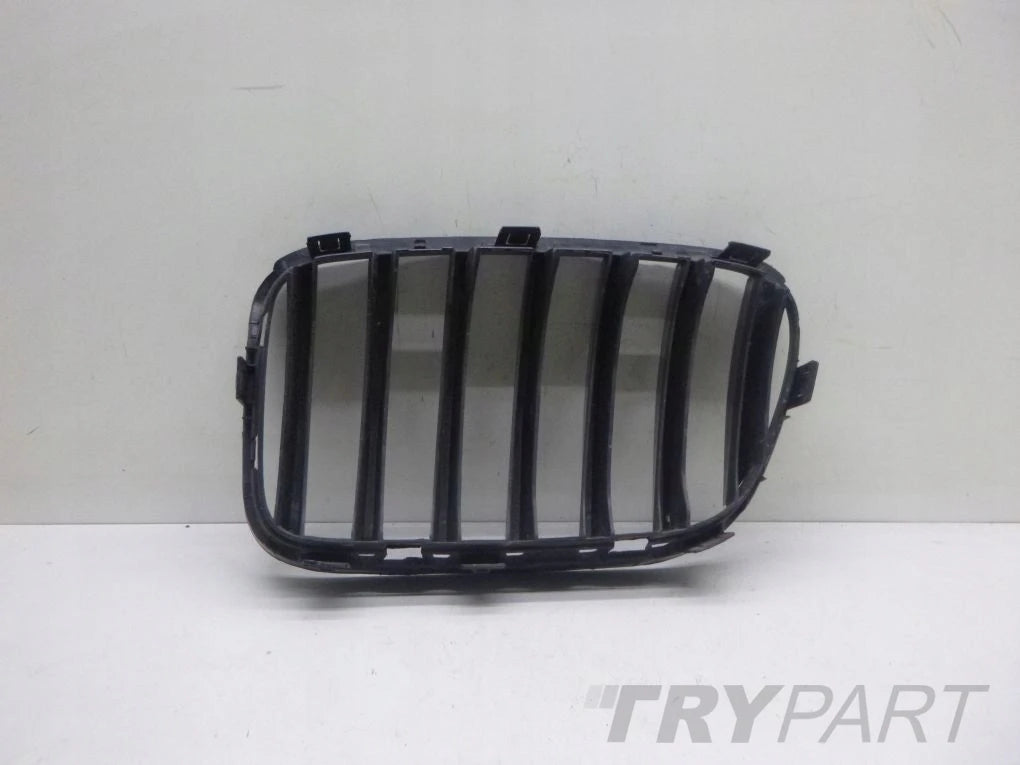 BMW X3 F25 X4 F26 Grille