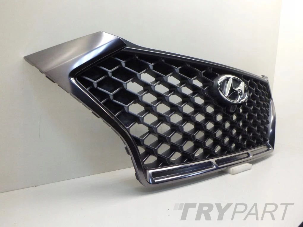 HYUNDAI TUCSON N-LINE 19- CAMERA grill grille new