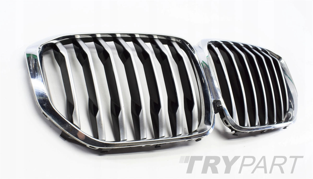 BMW X5 G05 Chrome Kidney Grille
