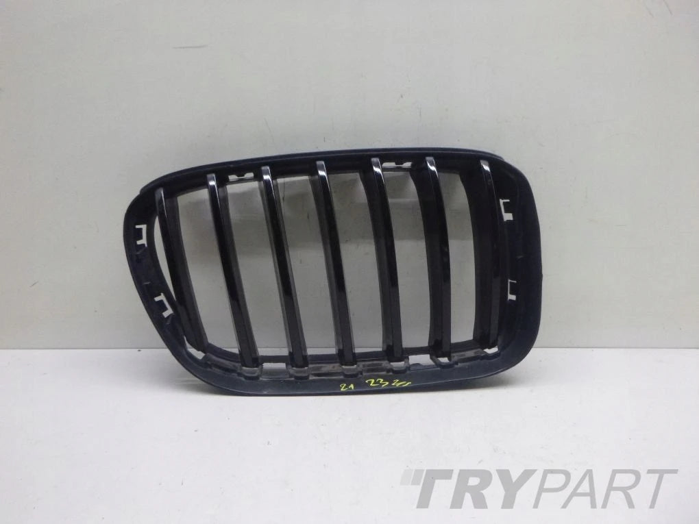 BMW X3 F25 X4 F26 Grille