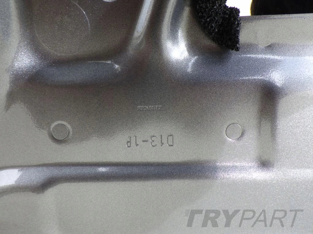 RENAULT SCENIC V 5 E-TECH 2024- Front Right Door