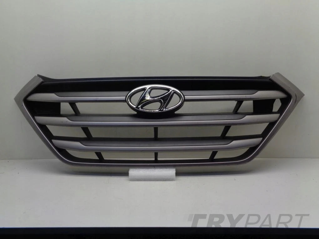 HYUNDAI TUCSON 3 III 15- grill catcher