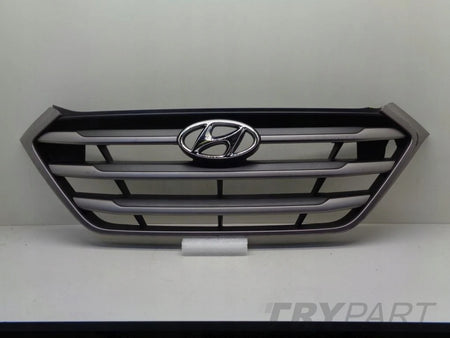 HYUNDAI TUCSON 3 III 15- grill catcher