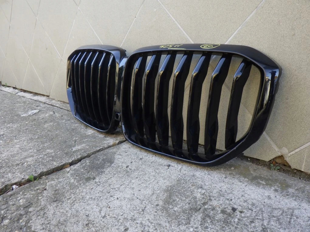 BMW X5 G05 X6 G06 Kidney Grille