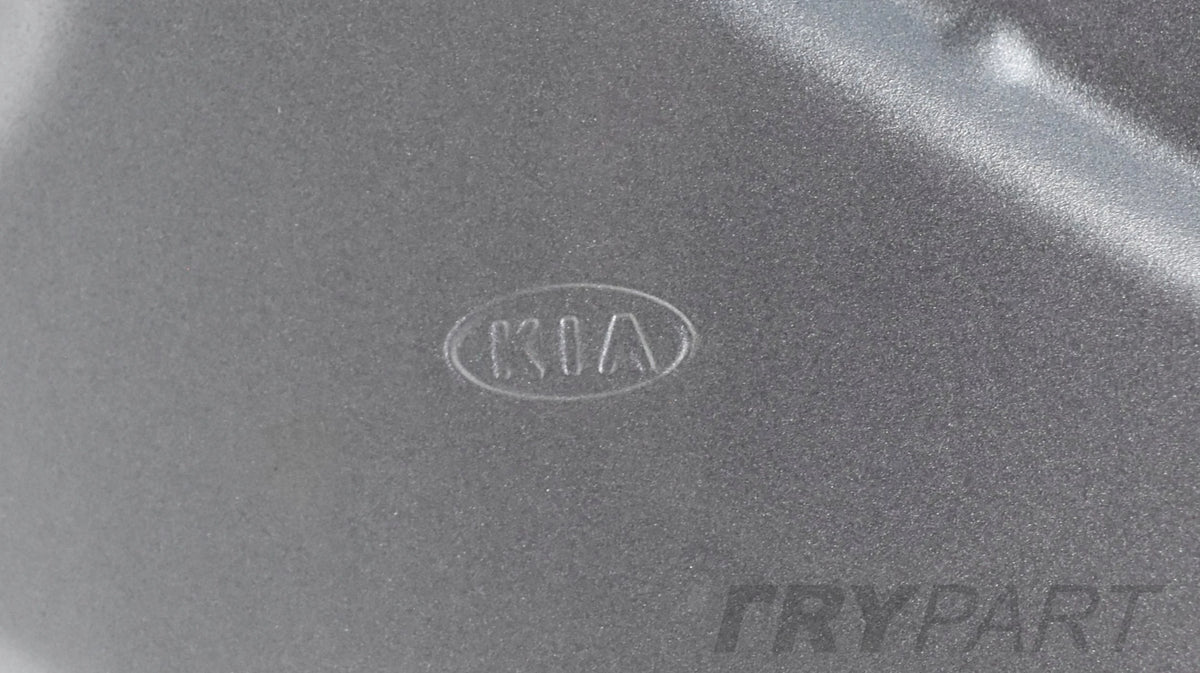 KIA SPORTAGE III Right Rear Door OEM