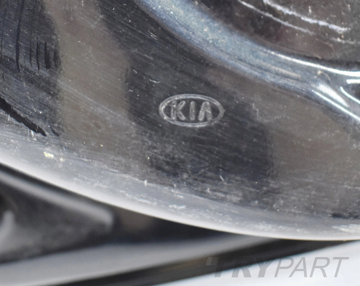 KIA NIRO LEFT REAR DOOR ORG